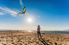 Get Help Now - AA Netherlands Helpline